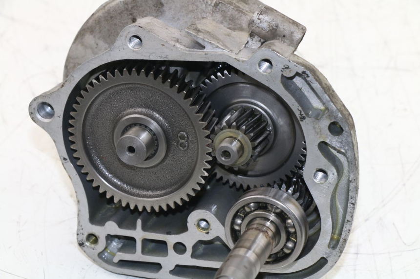 photo de RUEDA TRASERA ENGRANAJES BAOTIAN BT 49 QT-9 50 (2006 - 2010) - Zoom estado de uso