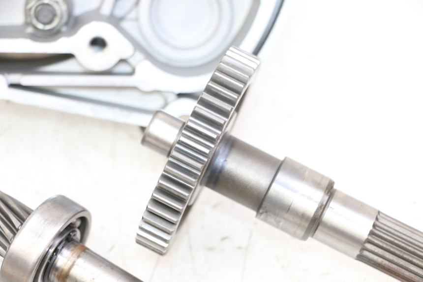 photo de RUEDA TRASERA ENGRANAJES MASH BIBOP 2T 50 (2013 - 2018) - Zoom sobre los componentes