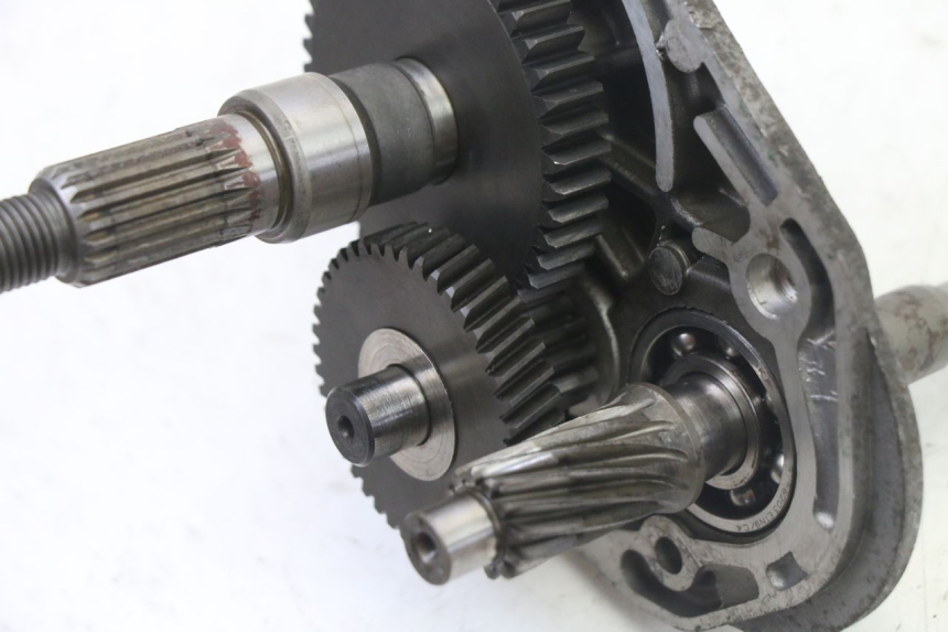 photo de RUEDA TRASERA ENGRANAJES PEUGEOT ELYSTAR 50 (2002 - 2014) - Detalle de la pieza