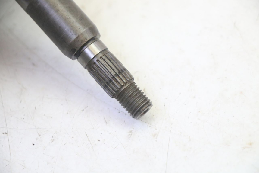 photo de RUEDA TRASERA ENGRANAJES PEUGEOT ELYSTAR 50 (2002 - 2014) - Zoom sobre los componentes