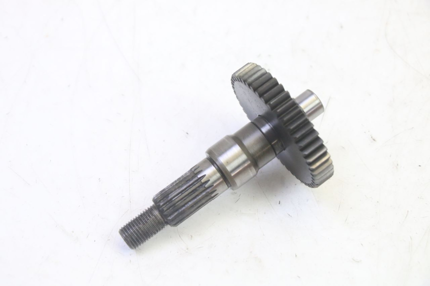 photo de RUEDA TRASERA ENGRANAJES PEUGEOT ELYSTAR 50 (2002 - 2014) - Primer plano técnico