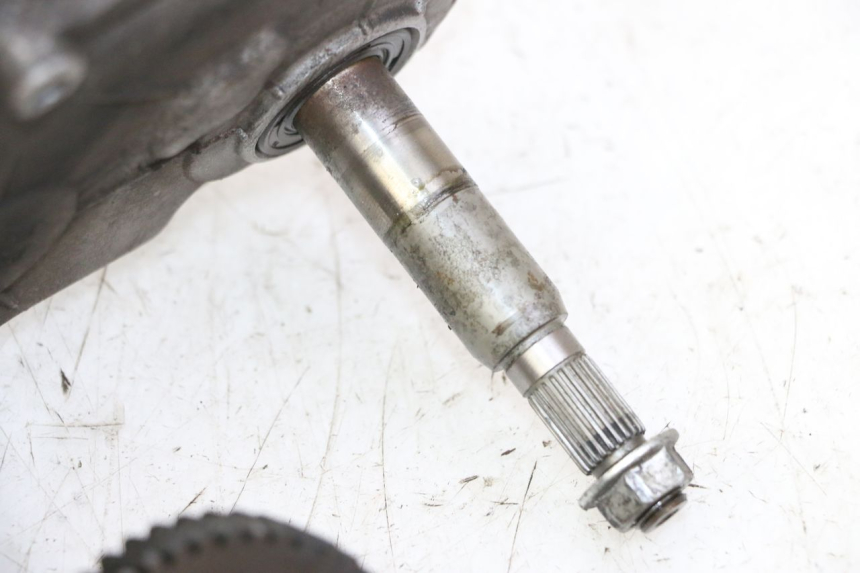 photo de RUEDA TRASERA ENGRANAJES PEUGEOT ELYSTAR 50 (2002 - 2014) - Zoom sobre los componentes