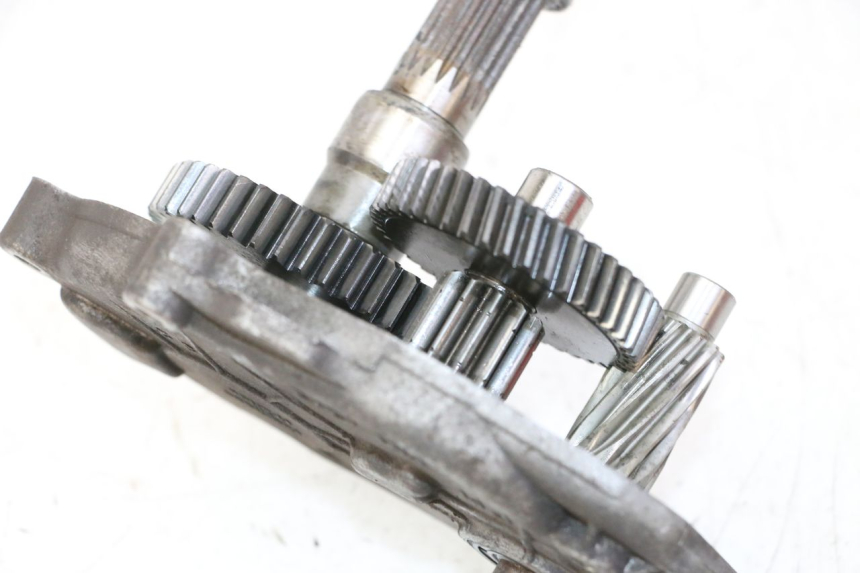 photo de RUEDA TRASERA ENGRANAJES PEUGEOT ELYSTAR 50 (2002 - 2014) - Primer plano técnico