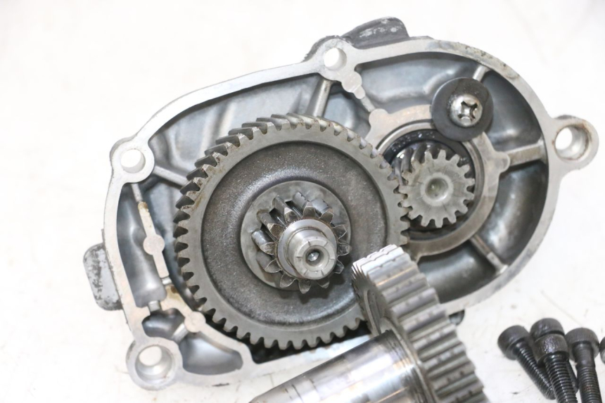 photo de RUEDA TRASERA ENGRANAJES MBK EVOLIS 80 (1993 - 1999) - Detalle de la pieza