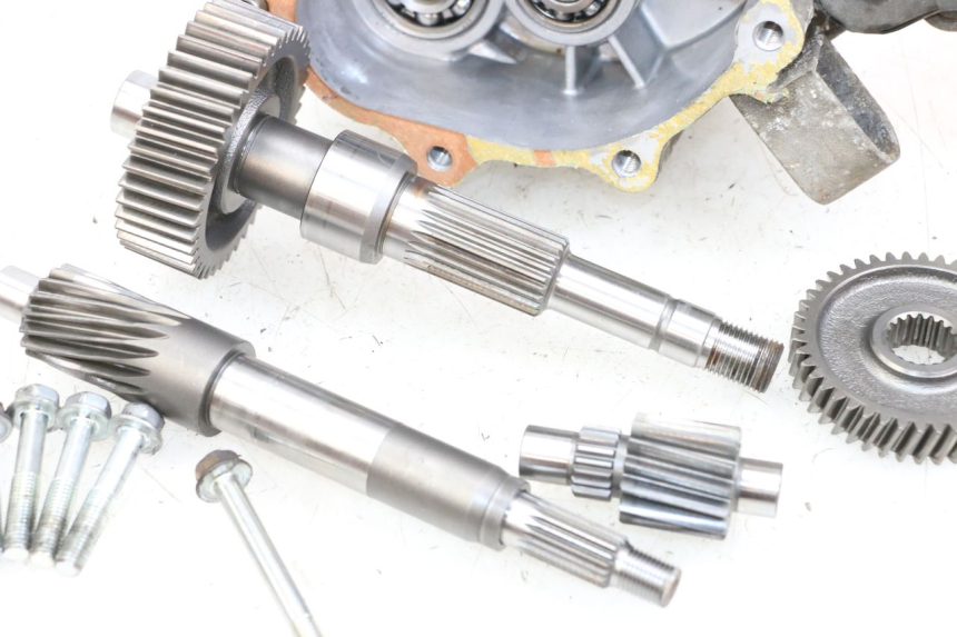 photo de RUEDA TRASERA ENGRANAJES HONDA FES PANTHEON 2T 125 (1998 - 2002) - Características distintivas