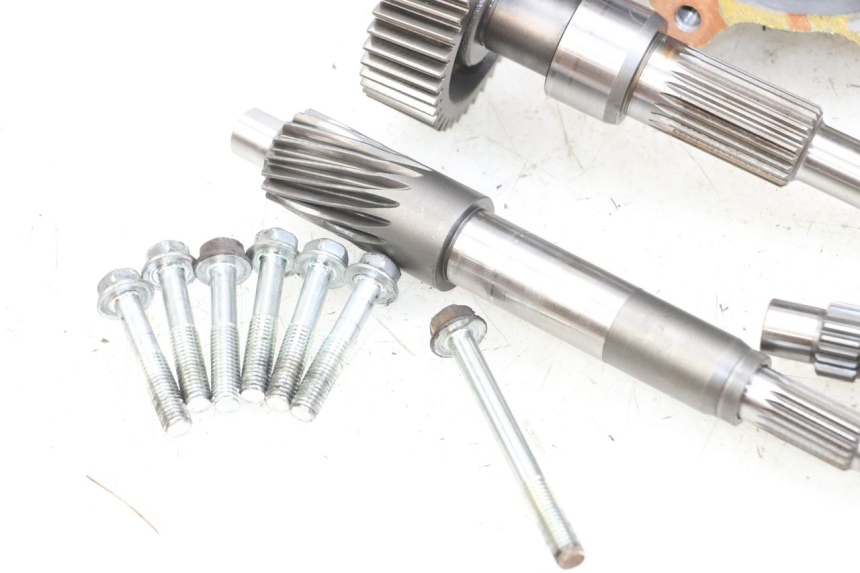 photo de RUEDA TRASERA ENGRANAJES HONDA FES PANTHEON 2T 125 (1998 - 2002) - Zoom sobre los componentes