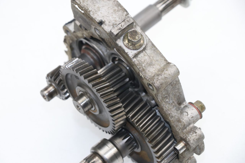 photo de RUEDA TRASERA ENGRANAJES REVATTO FUTURA GT 125 (2006 - 2008) - Detalle de la pieza