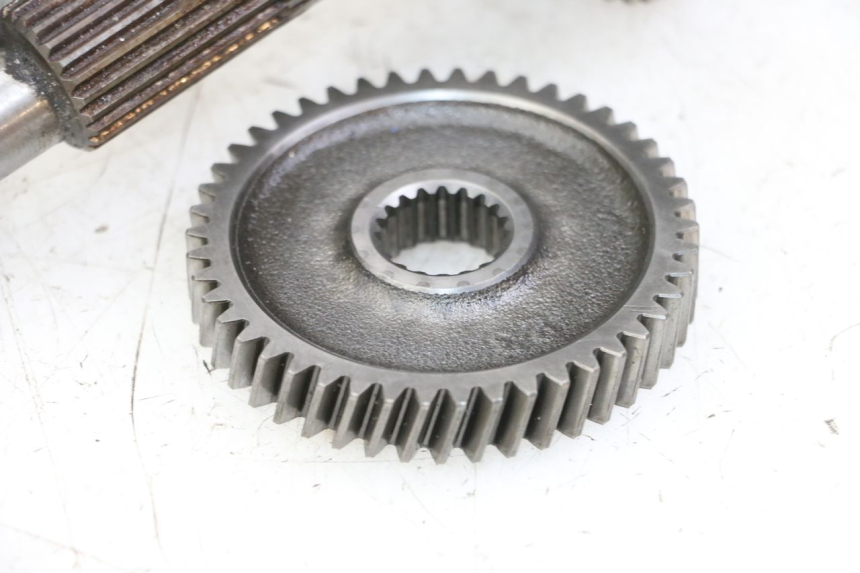 photo de RUEDA TRASERA ENGRANAJES HONDA PES PS I 125 (2006 - 2012) - Inspección visual detallada