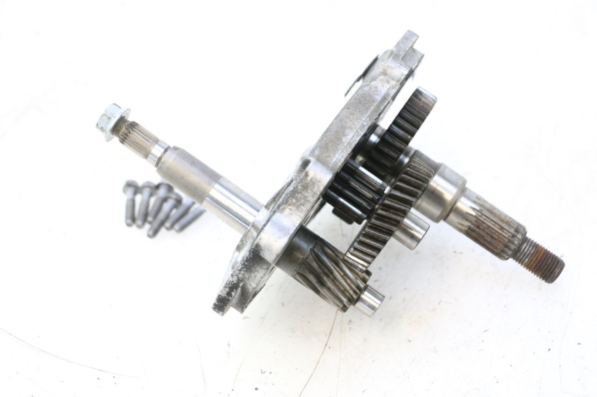 photo de RUEDA TRASERA ENGRANAJES PEUGEOT LUDIX ONE 50 (2004 - 2013) - Detalle de la pieza