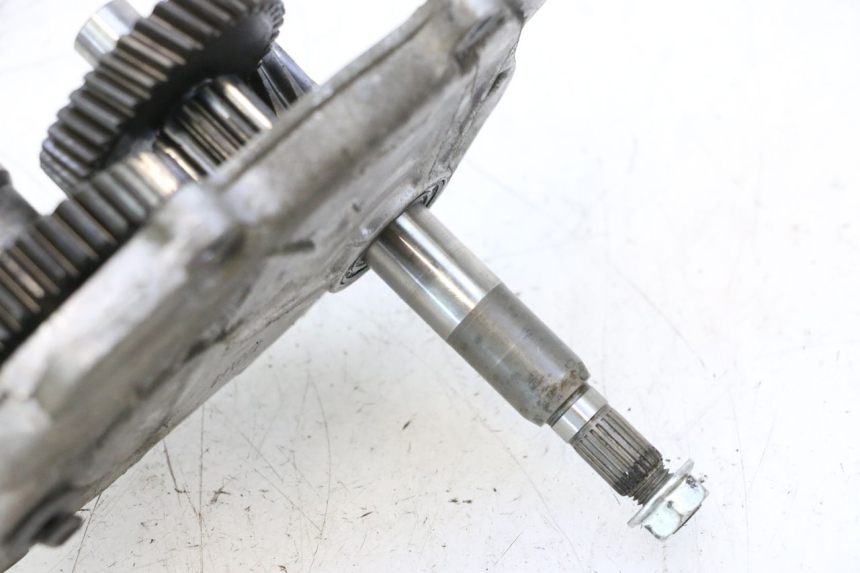 photo de RUEDA TRASERA ENGRANAJES PEUGEOT LUDIX ONE 50 (2004 - 2013) - Zoom estado de uso