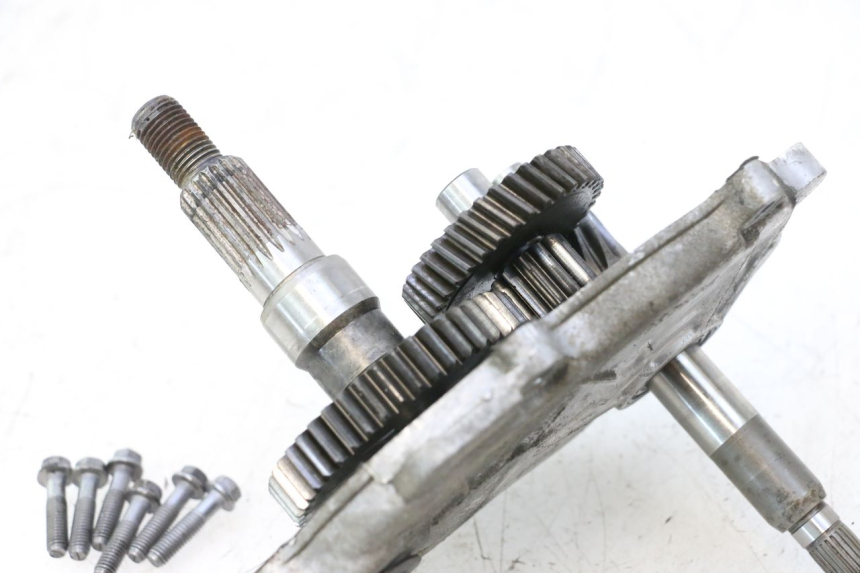 photo de RUEDA TRASERA ENGRANAJES PEUGEOT LUDIX ONE 50 (2004 - 2013) - Primer plano técnico