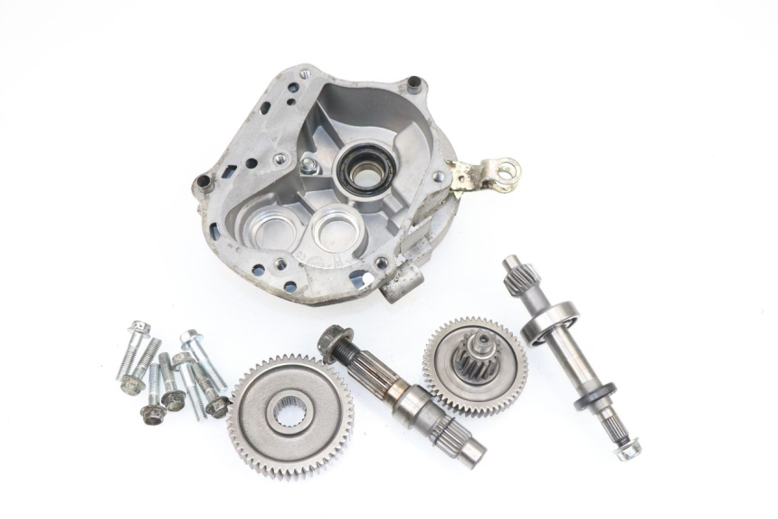 photo de RUEDA TRASERA ENGRANAJES SAMPO LY50QT-21 50 (2009 - 2014) - Vista principal