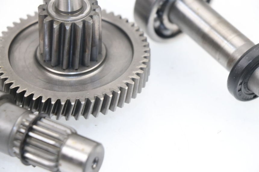 photo de RUEDA TRASERA ENGRANAJES SAMPO LY50QT-21 50 (2009 - 2014) - Primer plano técnico