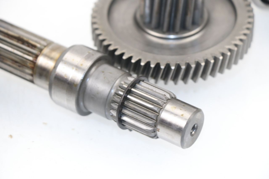 photo de RUEDA TRASERA ENGRANAJES SAMPO LY50QT-21 50 (2009 - 2014) - Vista general del producto