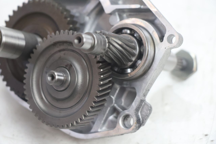 photo de RUEDA TRASERA ENGRANAJES MBK MACH G AC 50 (2002 - 2014) - Detalle de la pieza