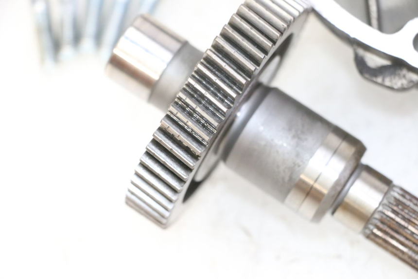 photo de RUEDA TRASERA ENGRANAJES PIAGGIO NEW TYPHOON 50 (2010 - 2017) - Perfil de la pieza de repuesto