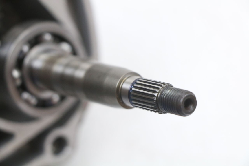 photo de RUEDA TRASERA ENGRANAJES EUROCKA R8 4T 50 (2013 - 2022) - Zoom estado de uso