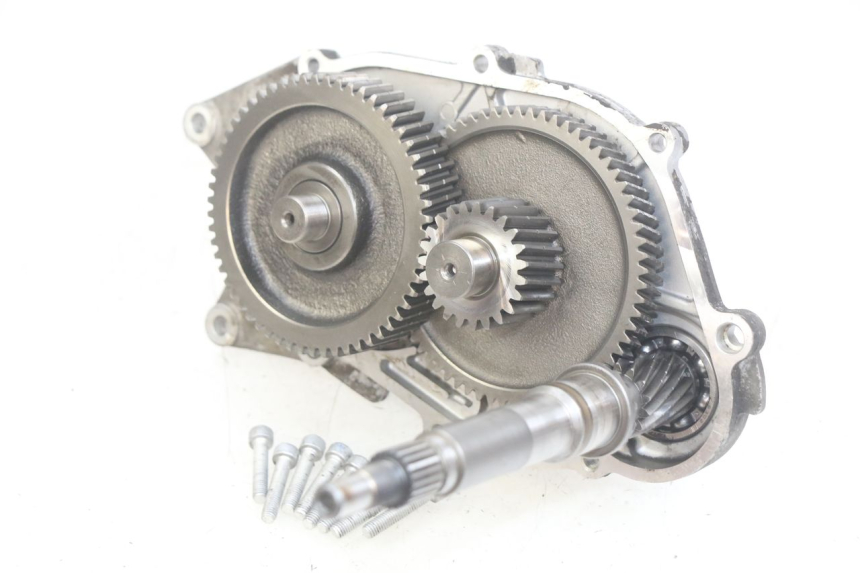 photo de TRANSMISIÓN DE LA RUEDA APRILIA SCARABEO LIGHT 125 (2007 - 2011) - Vista principal