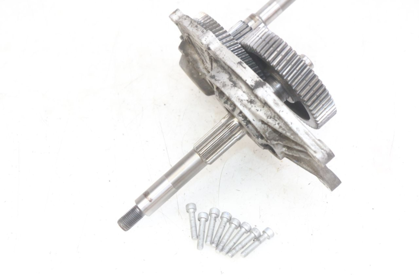 photo de TRANSMISIÓN DE LA RUEDA APRILIA SCARABEO LIGHT 125 (2007 - 2011) - Otra perspectiva