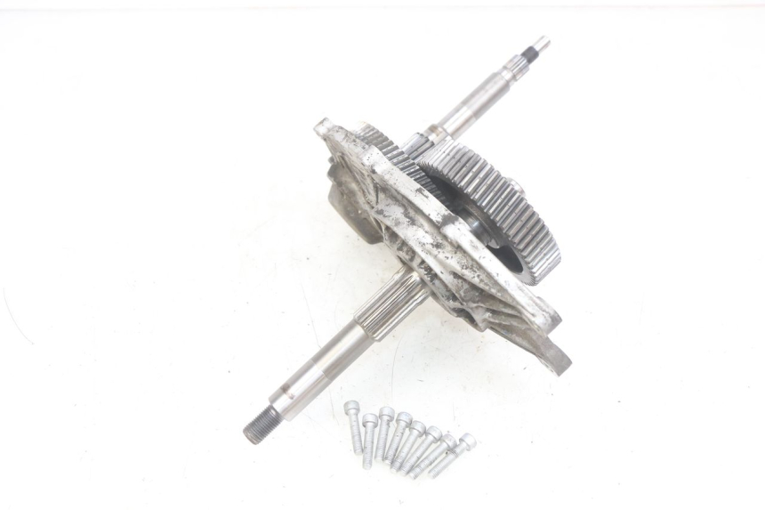 photo de TRANSMISIÓN DE LA RUEDA APRILIA SCARABEO LIGHT 125 (2007 - 2011) - Detalles de los puntos de fijación