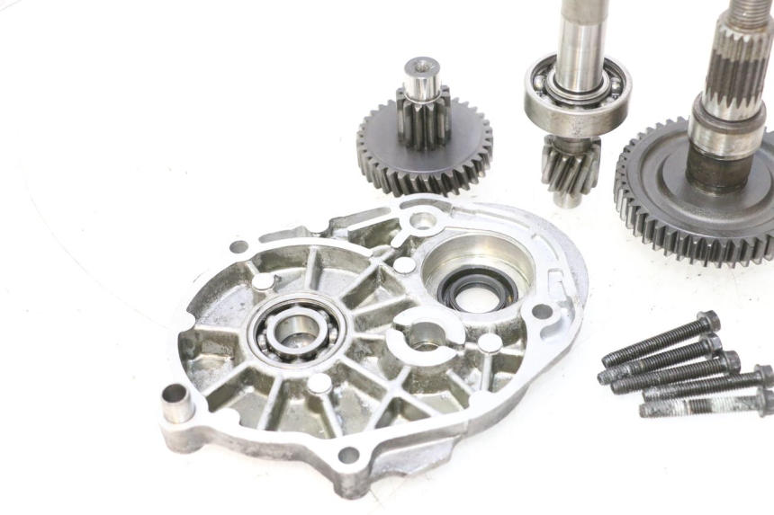 photo de TRANSMISIÓN DE LA RUEDA PEUGEOT SPEEDFIGHT LC 50 (1996 - 2002) - Primer plano técnico