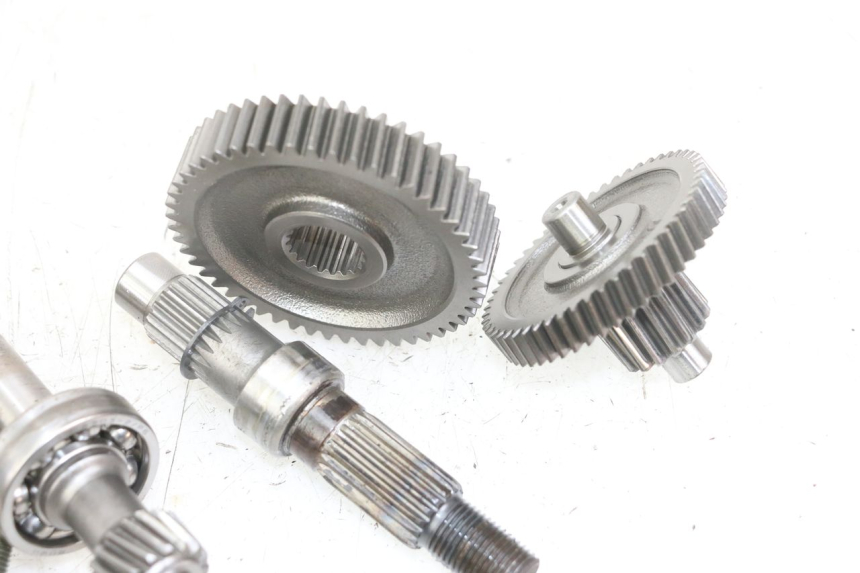 photo de RUEDA TRASERA ENGRANAJES TNT MOTOR ROMA 10' 4T 50 (2019 - 2022) - Vista general del producto