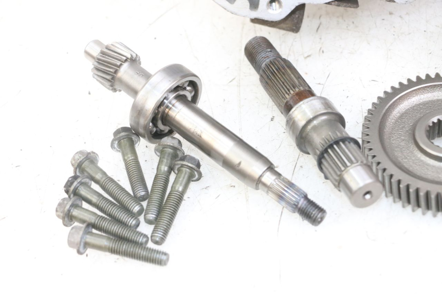 photo de RUEDA TRASERA ENGRANAJES TNT MOTOR ROMA 10' 4T 50 (2019 - 2022) - Marcados y referencias originales