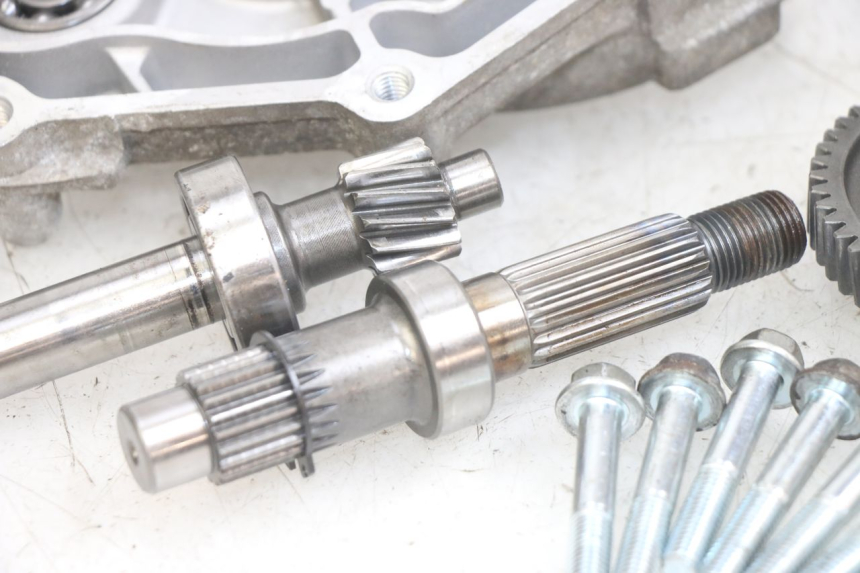 photo de TRANSMISIÓN DE LA RUEDA PEUGEOT TWEET 4T 50 (2014 - 2019) - Recambio usado revisado