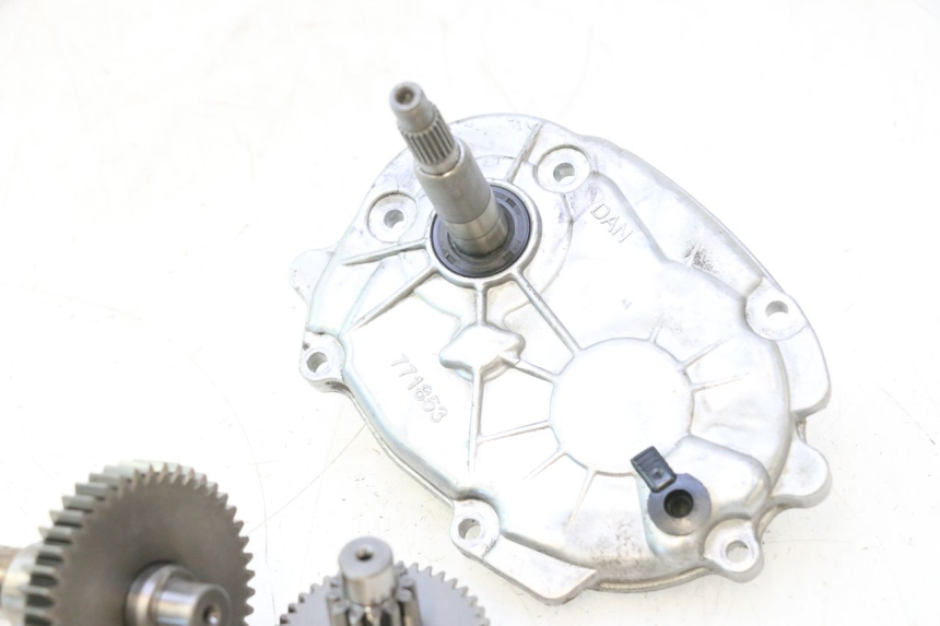 photo de RUEDA TRASERA ENGRANAJES PEUGEOT VIVACITY NEW 2T 50 (2008 - 2017) - Características distintivas