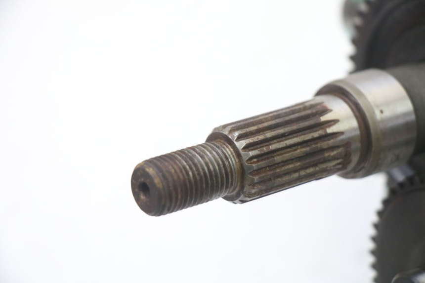 photo de RUEDA TRASERA ENGRANAJES PEUGEOT VIVACITY 50 (2004 - 2009) - Zoom estado de uso