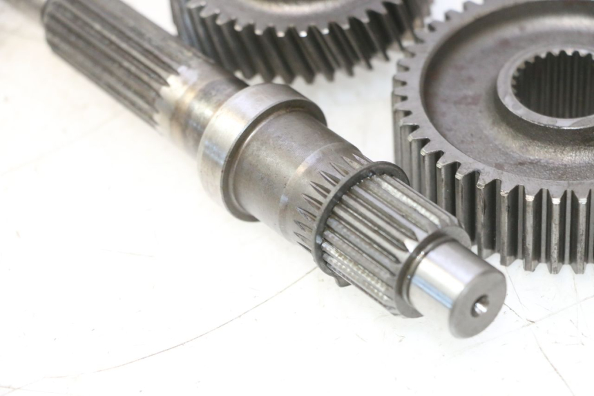 photo de RUEDA TRASERA ENGRANAJES YAMAHA YP MAJESTY 125 (2007 - 2010) - Zoom sobre los componentes