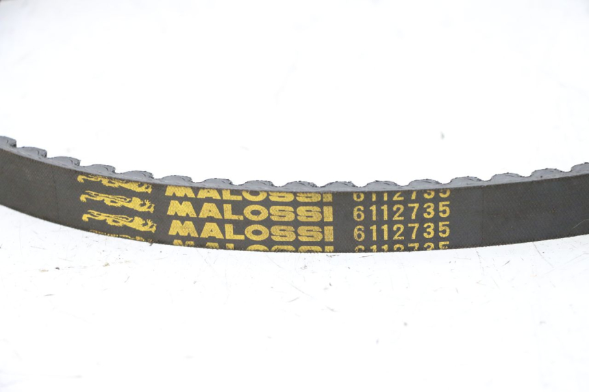 photo de VARIADOR PEUGEOT CITYSTAR 50 (2013 - 2017) - Otra perspectiva