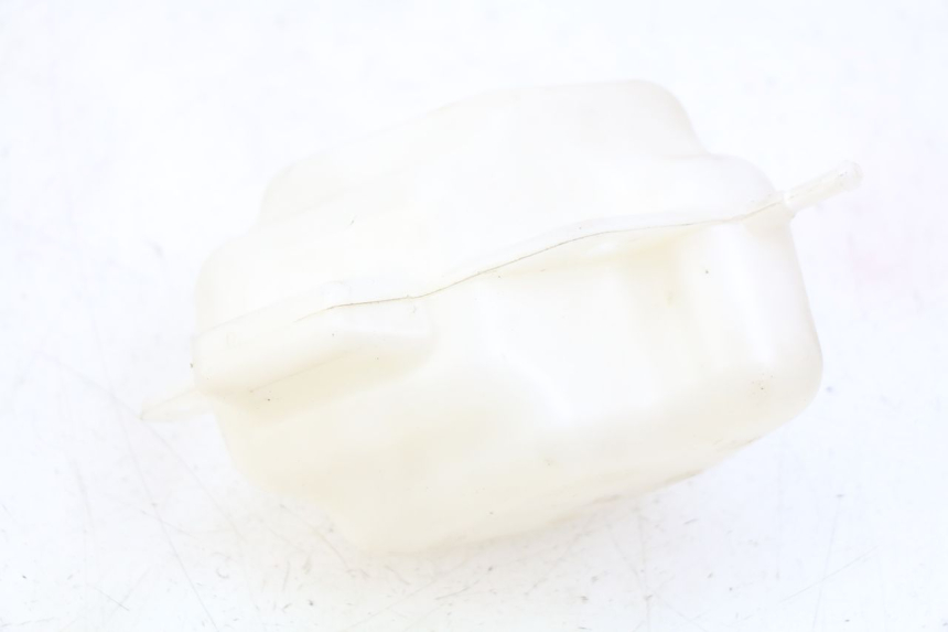 photo de DEPÓSITO EXPANSIÓN PEUGEOT CITYSTAR 125 (2011 - 2017) - Zoom estado de uso