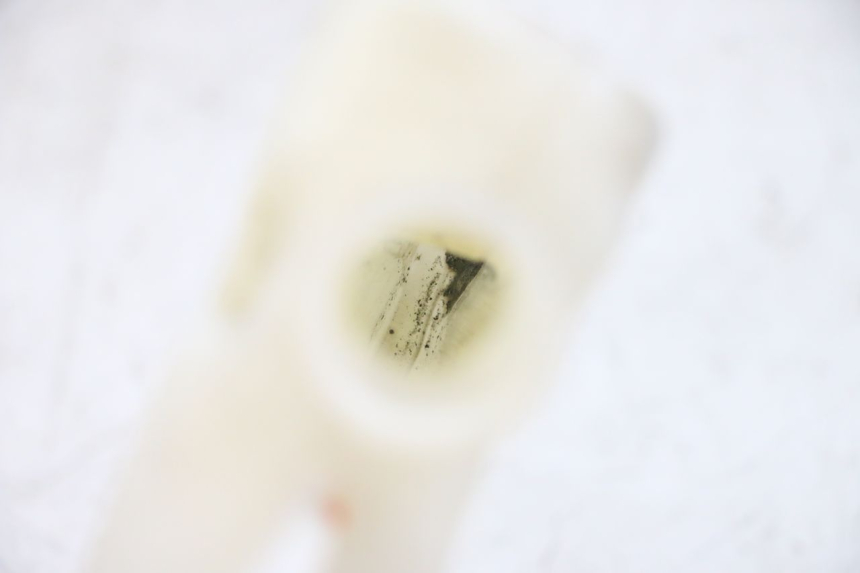 photo de DEPÓSITO DE EXPANSIÓN YAMAHA FJR ABS 1300 (2006 - 2012) - Detalle de la pieza