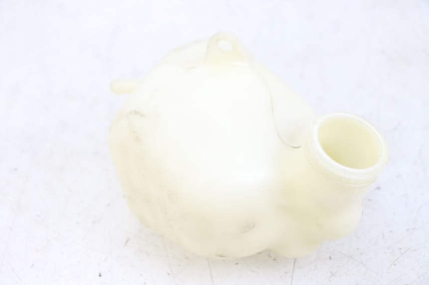 photo de BOTELLA EXPANSION PEUGEOT GEOPOLIS RS 125 (2007 - 2009) - Vista principal