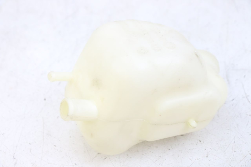 photo de BOTELLA EXPANSION PEUGEOT GEOPOLIS RS 125 (2007 - 2009) - Detalle de la pieza