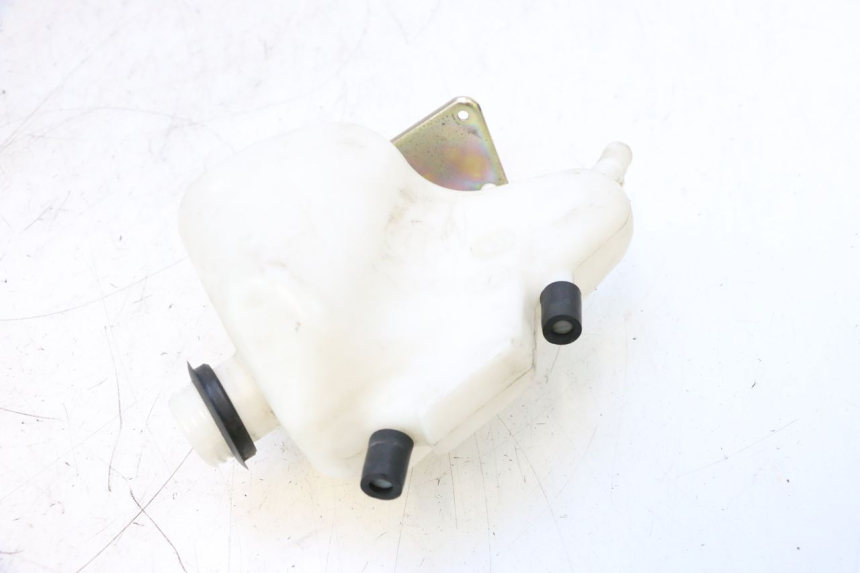 photo de BOTELLA EXPANSION SYM GTS EVO 125 (2009 - 2013) - Zoom estado de uso