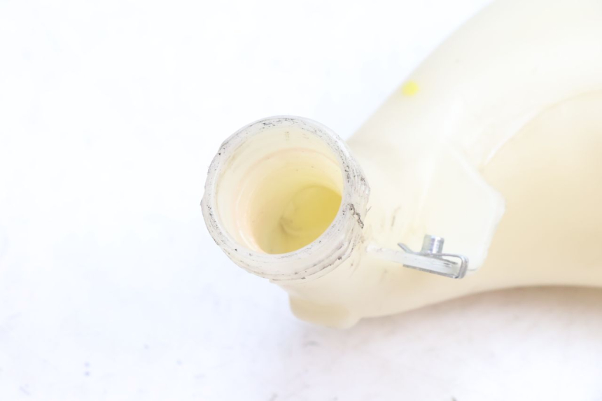 photo de BOTELLA EXPANSION PIAGGIO MP3 500 (2016 - 2018) - Zoom estado de uso