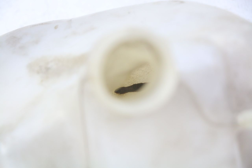 photo de DEPÓSITO DE EXPANSIÓN GILERA NEXUS 125 (2009 - 2013) - Detalle de la pieza