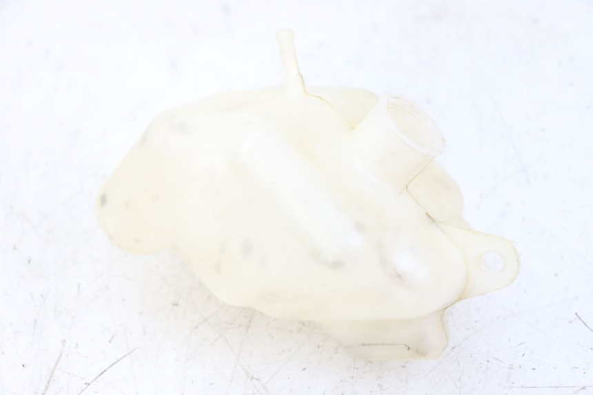 photo de DEPÓSITO EXPANSIÓN PEUGEOT CITYSTAR 125 (2011 - 2017) - Vista principal