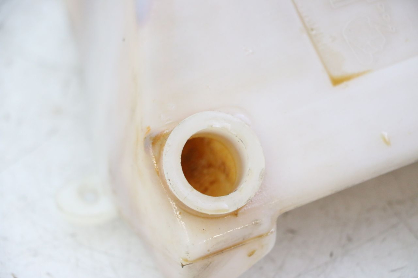 photo de BOTELLA EXPANSION TRIUMPH SPRINT 900 (1995 - 1998) - Zoom estado de uso