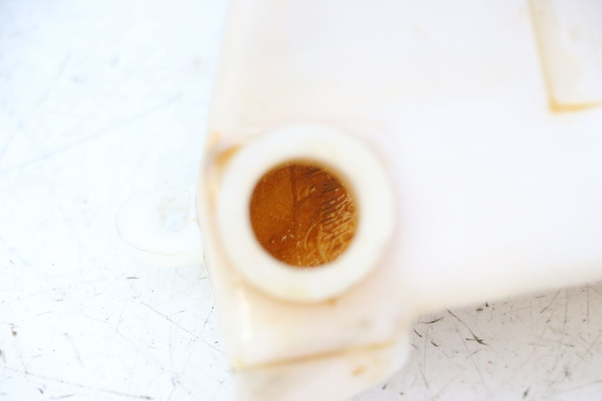 photo de BOTELLA EXPANSION TRIUMPH SPRINT 900 (1995 - 1998) - Otra perspectiva