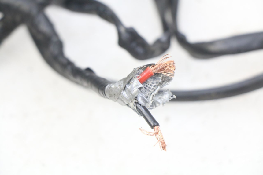 photo de LUZ DE POSICIÓN HONDA CB R 1000 (2018 - 2023) - Características distintivas