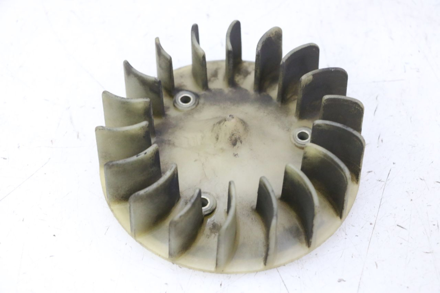 photo de VENTILADOR PEUGEOT CITYSTAR 50 (2013 - 2017) - Zoom estado de uso