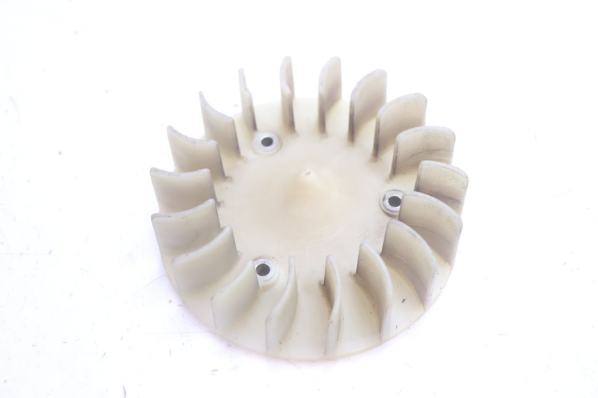 photo de VENTILADOR PEUGEOT KISBEE 2T 50 (2010 - 2017) - Vista principal