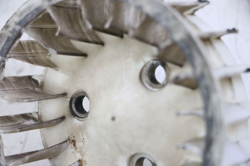 photo de VENTILADOR TNT MOTOR ROMA 10' 2T 50 (2011 - 2018) - Detalle de la pieza