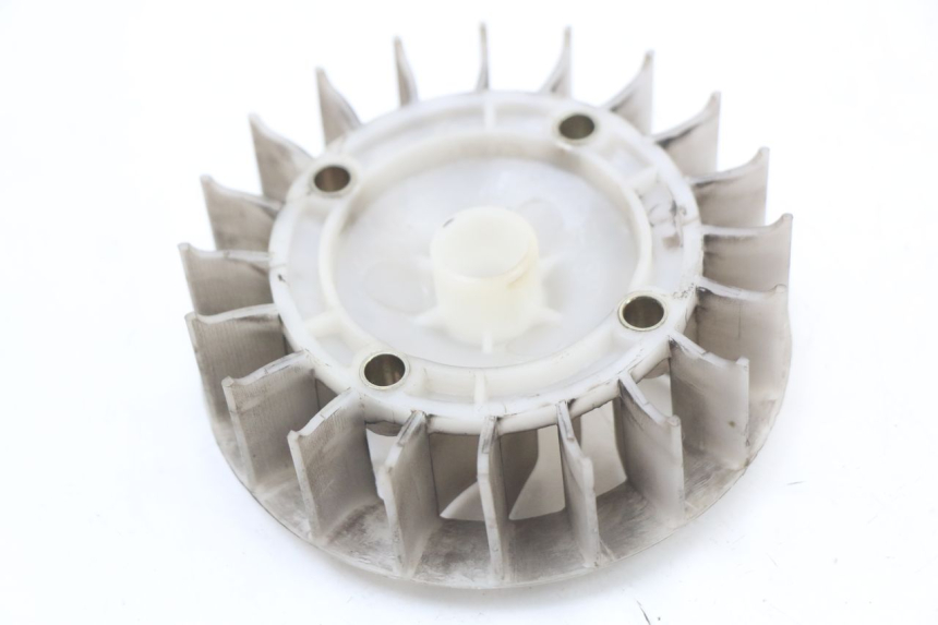 photo de VENTILADOR BEELINE VELOCE 4T 50 (2011 - 2020) - Vista principal