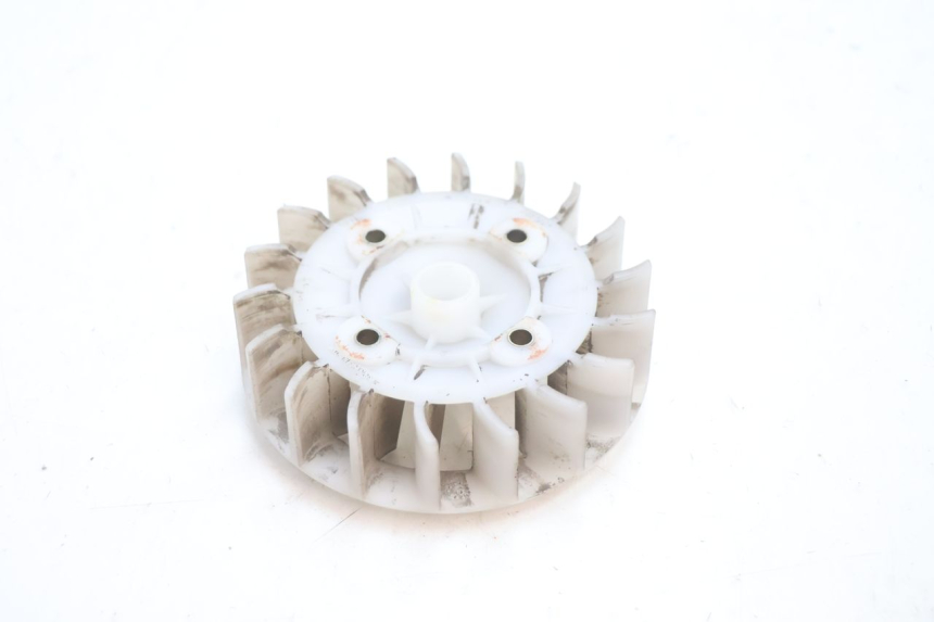 photo de VENTILADOR PEUGEOT VIVACITY 50 (1998 - 2003) - Zoom estado de uso