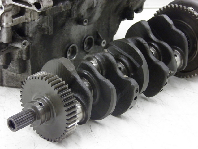 photo de CIG HONDA CB F HORNET 600 (1998 - 1999) - Primer plano técnico