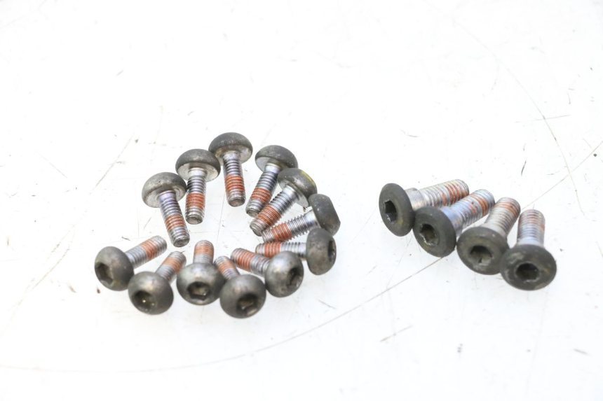 photo de TORNILLO DEL DISCO DE FRENO HONDA CB F HORNET 600 (2005 - 2006) - Vista general del producto